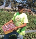 Mendoza Organic Farm